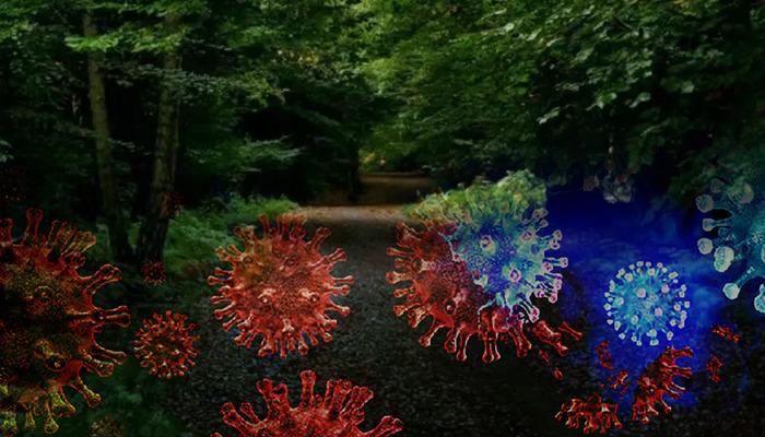 Ormanda keşfedilen dev virüsler bilim insanlarını hayrete düşürdü! Özellikleri inanılmaz: ‘Saç’ detayı dikkat çekiyor