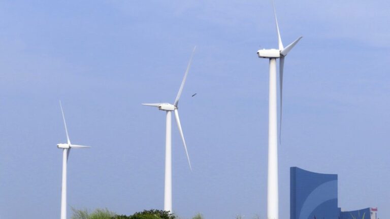 İrlanda’da rüzgar türbinlerinden elde edilen elektrik rekor kırdı, faturalar yüzde 72 düştü