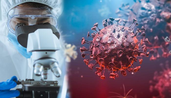 Koronavirüsün ardından yeni hastalık uyarısı! 26 ülkede görüldü, M çiçeği virüsü vakalarında artış yaşanıyor