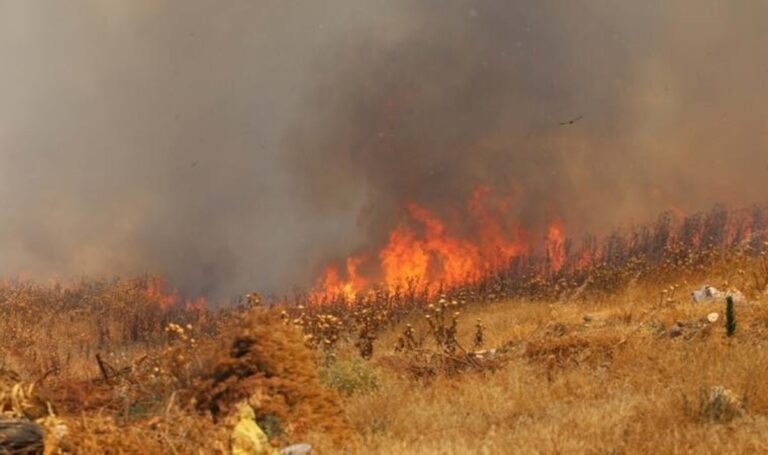 Balıkesir’de sazlık yangını; 10 hektar alan zarar gördü – Son Dakika Türkiye Haberleri