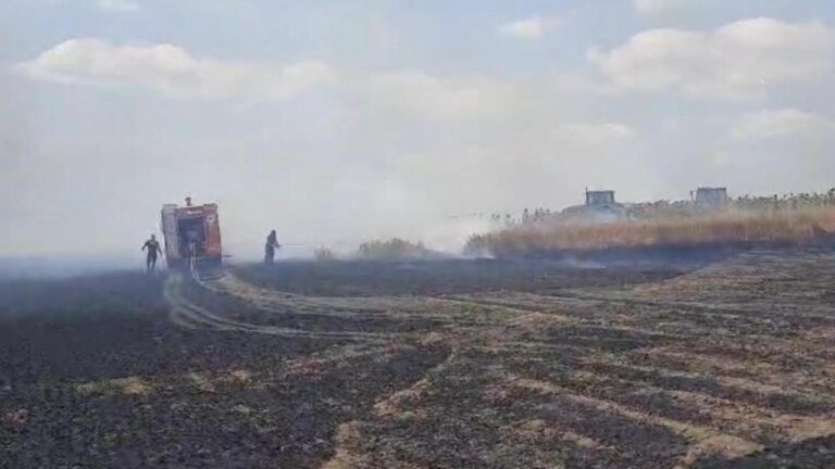 Tekirdağ’da 600 dekarlık buğday ekili alan yandı