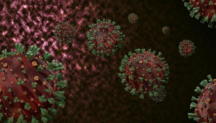 Kongo’da M çiçeği kabusu! Cinsel yolla bulaşıyor, diğer ülkelere de yayılabilir: ‘Şimdiye kadarki en tehlikeli varyant’