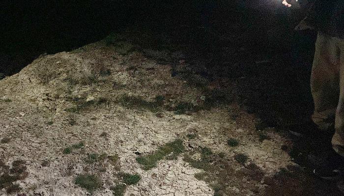 Sokak Köpeklerinin Saldırısı’ndan haberler! 2 -Ed -old Rana korkunç bir şekilde öldü