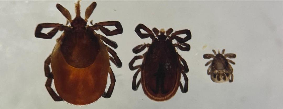 thumbs_b_c_03d7342c57ea854c88ebaa2b012883df