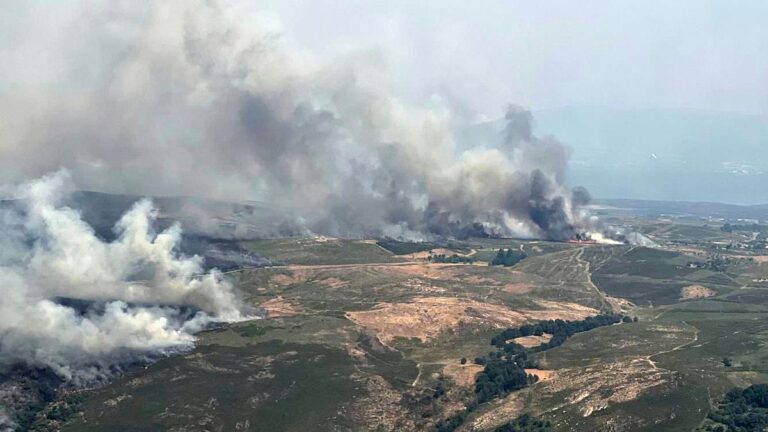 Güney Avrupa'da Boschive Fire: Ölüm sayısı artıyor