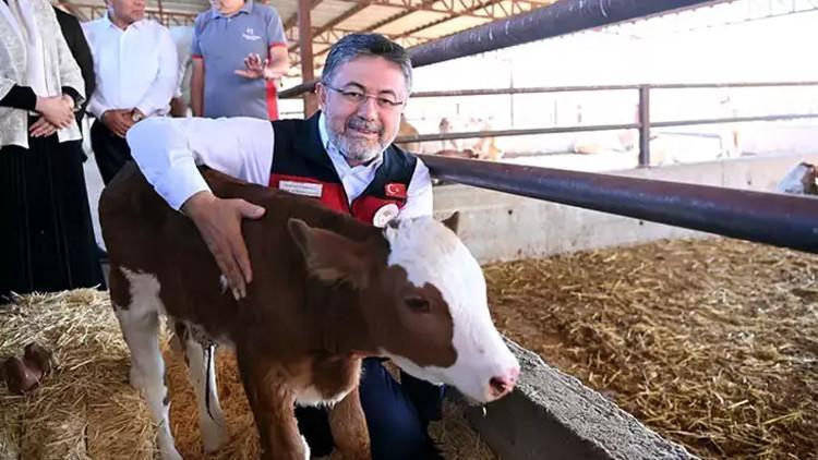 Bakan Yumakli: Ev yapımından 200 bin hayvan alacağız