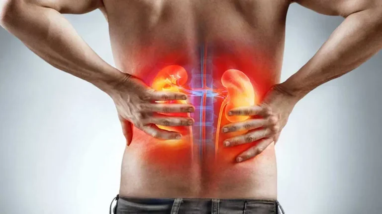 Toksinlere karşı doğal kalkan: Sağlıklı ve güçlü böbrekler için en etkili 7 besin – Son Dakika Hayat Haberleri