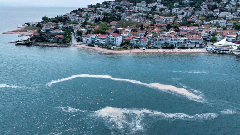 Müsilajın görüldüğü illerdeki balıkçılara ek ödeme yapılacak.